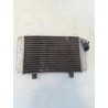 Radiatore - Yamaha X-Max 250 (E3) (14-)