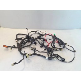 Cablaggio impianto elettrico telaio - Yamaha X-Max 250 (E3) (14-)