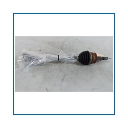 Cambio e Trasmissione FIAT Panda III