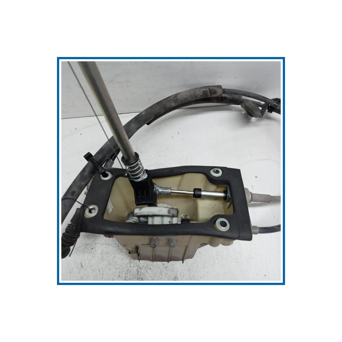 Cambio e Trasmissione FIAT 600 187