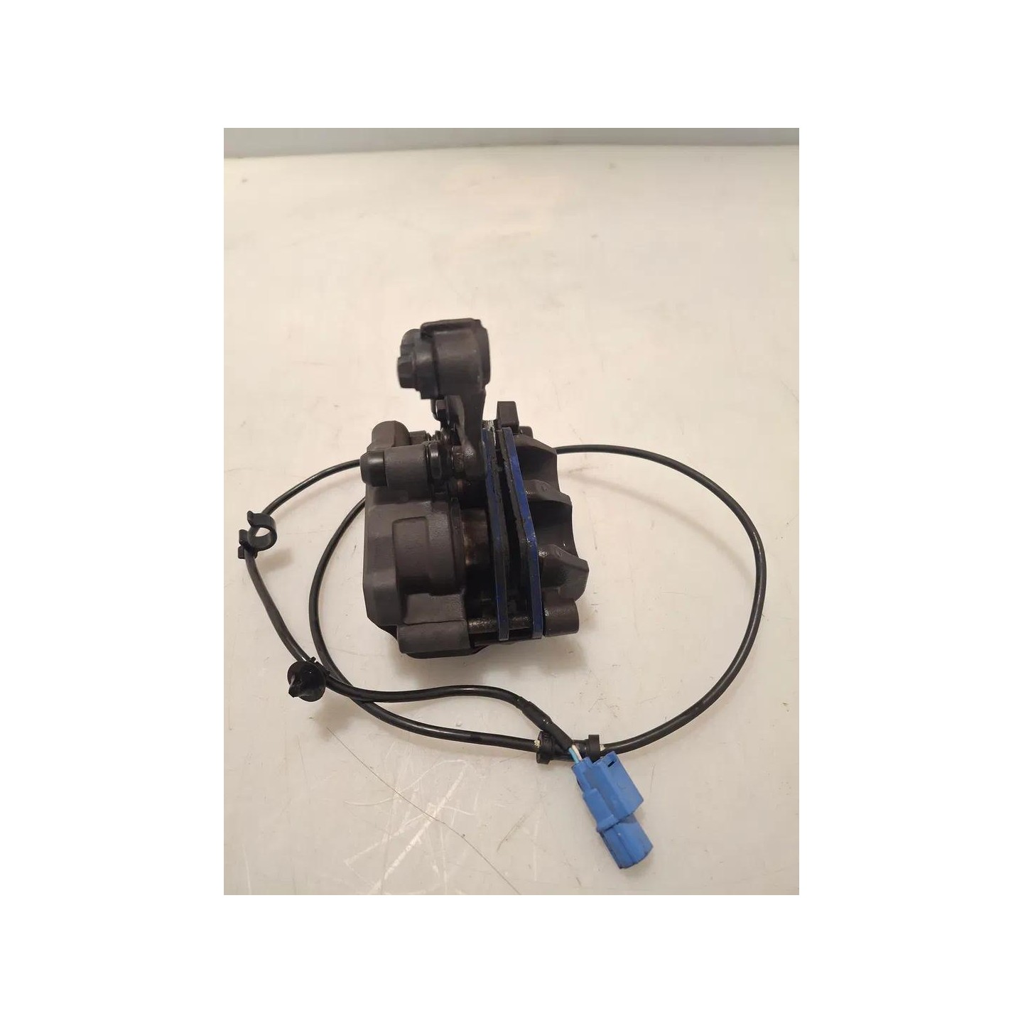 Pinza freno anteriore compl. Honda CMX 500 Rebel (E4)