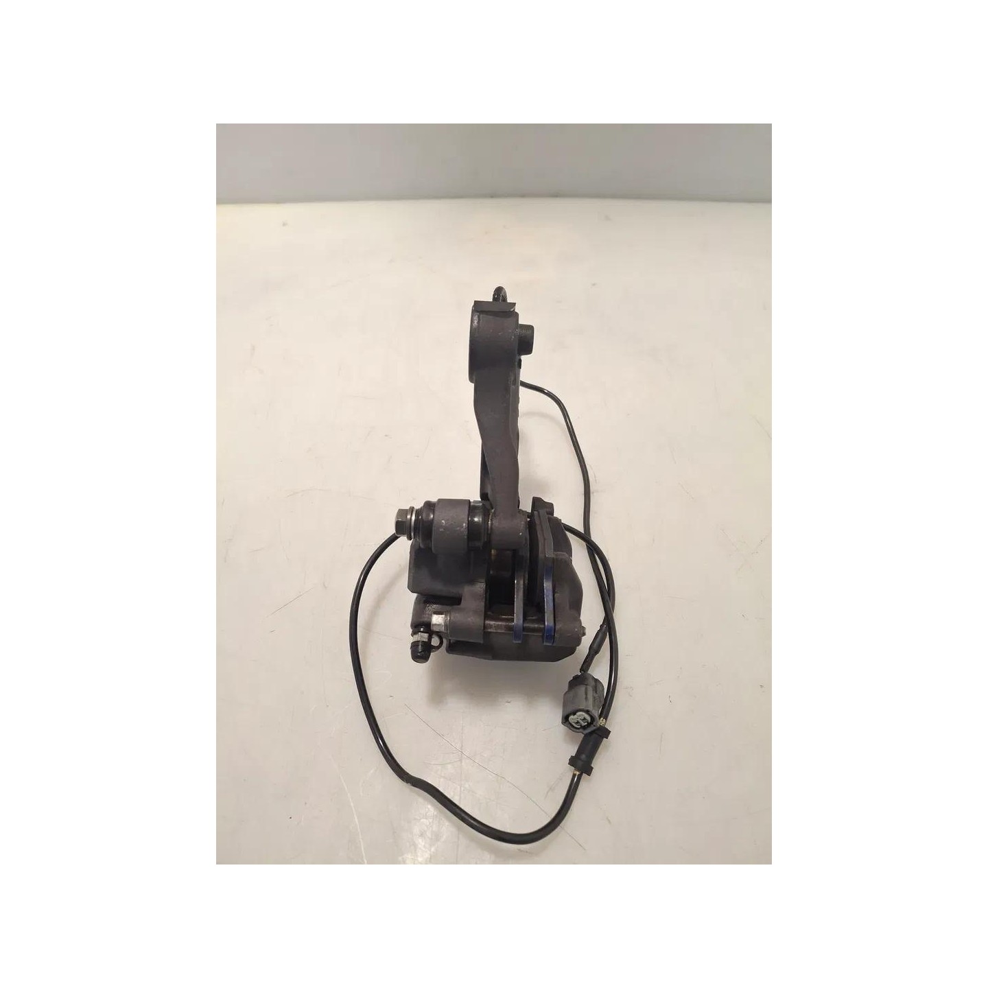 Pinza freno posteriore compl. Honda CMX 500 Rebel (E4)