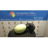 RETROVISORE EST. REGOLAZ. ELETTR. 09/00 DX. 026 RENAULT TWINGO 1A SERIE (08/98-09/07) D7FF7 7700834989