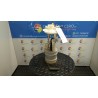 POMPA CARBURANTE C/TRASDUTTORE (GALLEGGIANTE) 005 FIAT MULTIPLA (1F) (05/04-04/12) 182B6000 50926692
