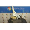 ALZACRISTALLO PORTA ANT. SX. 086 DAIHATSU TERIOS 1A SERIE (09/97-10/06) K3 6980287401000