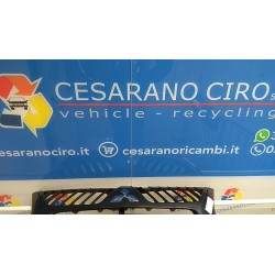 GRIGLIA 024 MITSUBISHI L200 (12/04-02/06) 4D56 7450A066HA