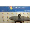 INIETTORE 060 RENAULT MASTER (10/03-10/06) ZD3A2 7701061083