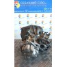CAMBIO COMPL. 072 ALFA ROMEO 147 (W8) (08/00-01/06) AR32104 55201080