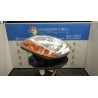 PROIETTORE SX. 163 RENAULT KANGOO (04/03-03/09) K9KA7 260603883R