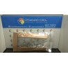 ALZACRISTALLO ELETTR. PORTA ANT. C/M DX. 007 NISSAN MICRA (K12E) (11/02-05/06) CR12 80700BC60B