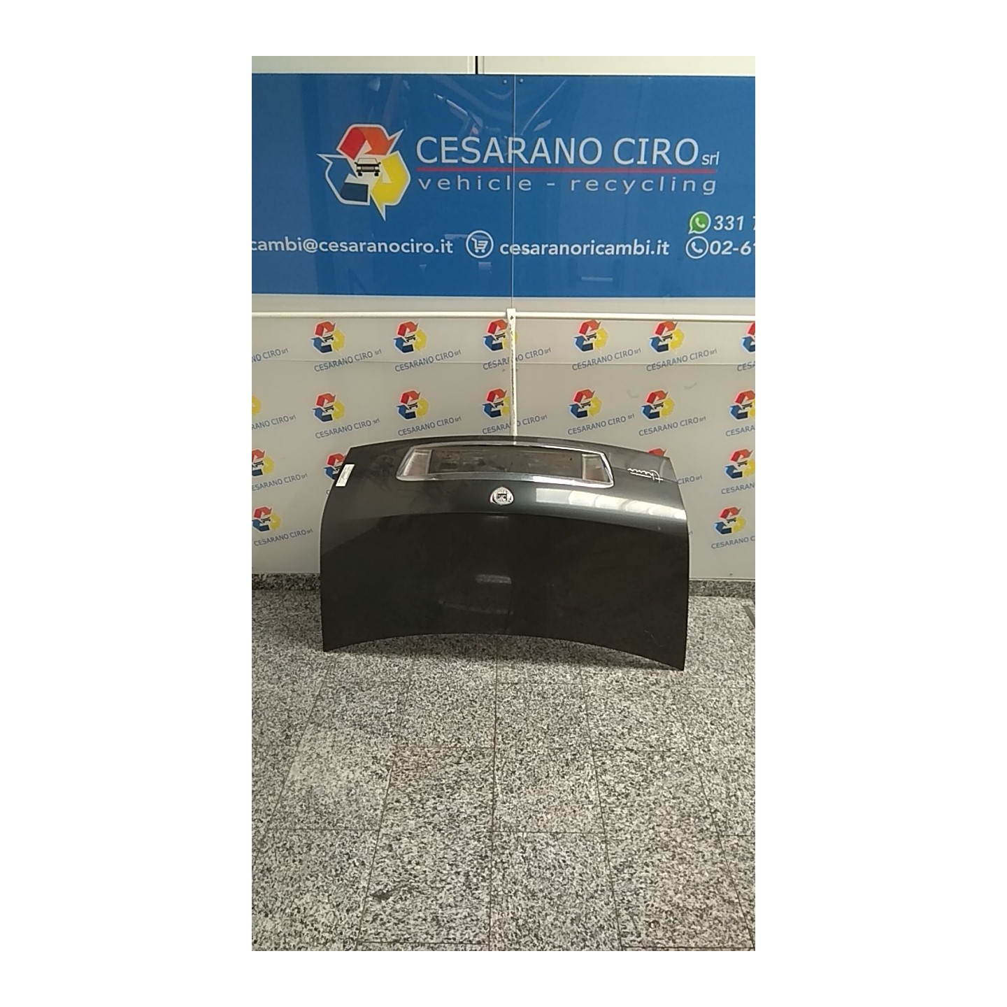 COFANO POST. 080 LANCIA THESIS (SJ) (06/02-04/08) 841H000 60660506