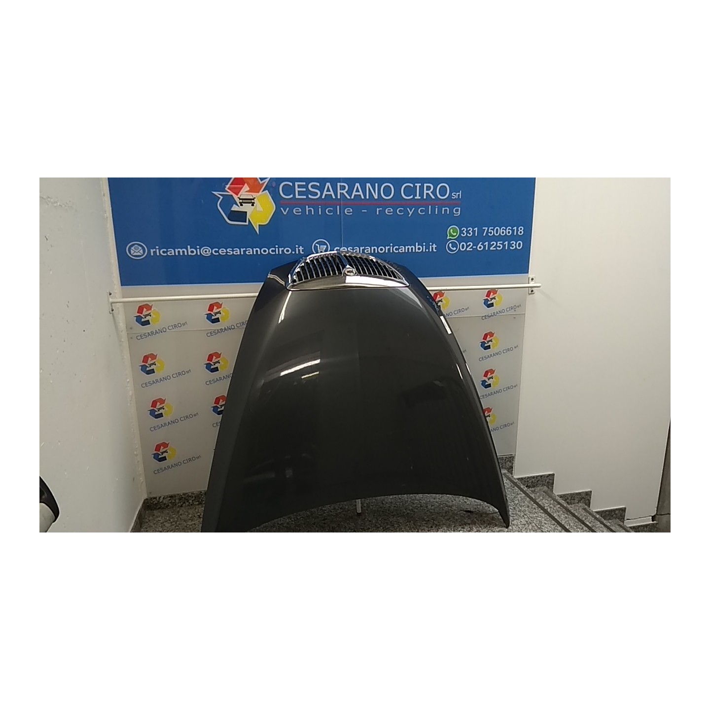 COFANO ANT. 068 LANCIA THESIS (SJ) (06/02-04/08) 841P000 60660462