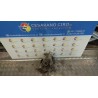 MONTANTE SOSP. ANT. DX. 127 TOYOTA PRIUS 2A SERIE (02/04-06/10) 1NZFXE 4320147010