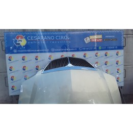 COFANO ANT. 117 LANCIA PHEDRA (TC) (06/02-01/11) 4HW 1400618888