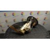 POMPA CARBURANTE C/TRASDUTTORE (GALLEGGIANTE) 057 FORD KA (CCQ) (11/96-10/08) A9A 1542745