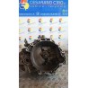 CAMBIO COMPL. 086 ALFA ROMEO 159 (X3/X9) (07/05-06/13) 939A6000 55219782